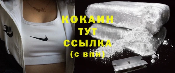 сатива Бикин