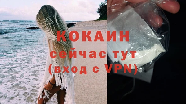шишки Няндома