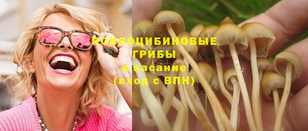 гидропоника Арсеньев