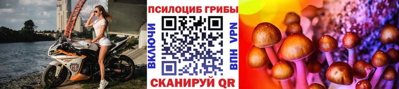 Псилоцибиновые грибы MAGIC MUSHROOMS  Пустошка 